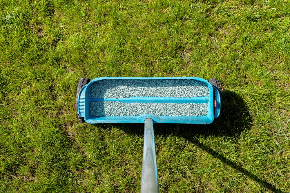Handstreuwagen mit Saatgut auf saftig grünem Rasen zum Rasen säen im Garten