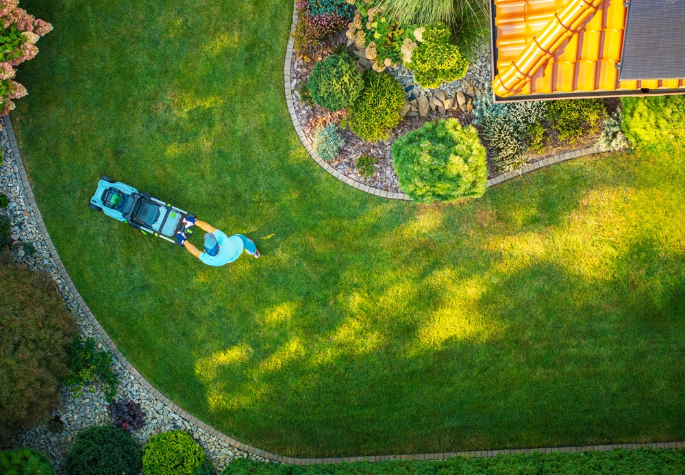 Person mäht mit Rasenmäher gepflegten Rasen neben dekorativem Beet im Hausgarten – Rasen mähen